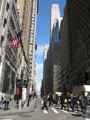 Street of NYC